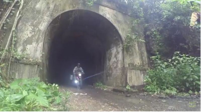  Terowongan Wilhelmina - Kalipucang, Pangandaran 
